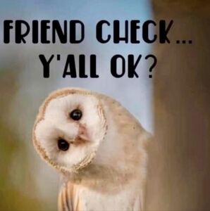 Meet your Posher, Janelle